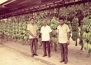 Panama-oldies-Col-A-69-05 41